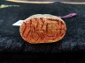 白玉兽钮印章
