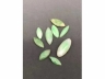 老翡翠统货29件