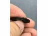 铜南无阿弥陀佛钱