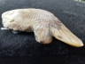 玉沁色鱼饰
