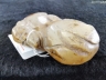 玉雕沁色兽