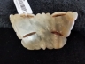白玉蝴蝶佩