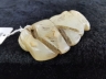白玉寿星