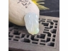 23号黄翡金枝玉叶