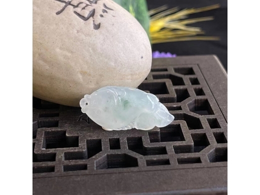 31飘花神仙鱼
