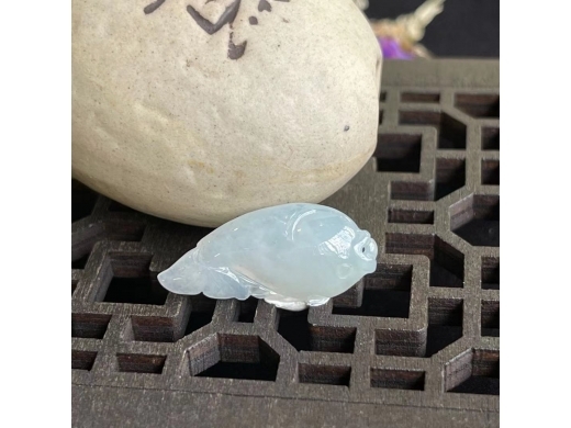 17神仙鱼