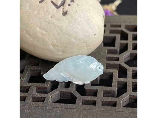 17神仙鱼