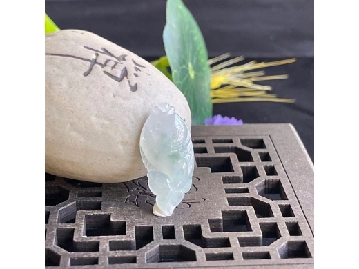 31飘花神仙鱼