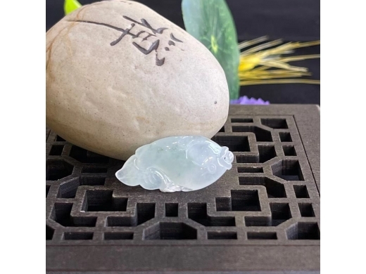 31飘花神仙鱼