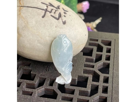 17神仙鱼
