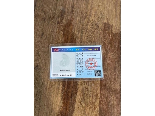 35异形龙