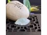 31飘花神仙鱼