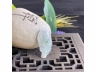 31飘花神仙鱼