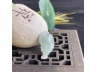 36神仙鱼