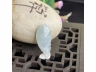 17神仙鱼
