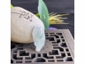 31飘花神仙鱼