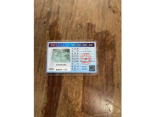 28虎纹砚屏
