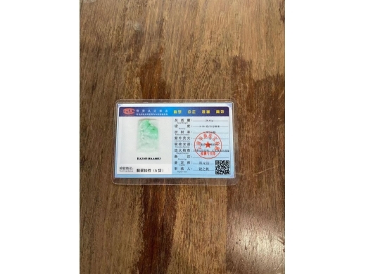 08府上有龙
