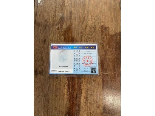 11紫春貔貅