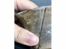 备前烧急需壶