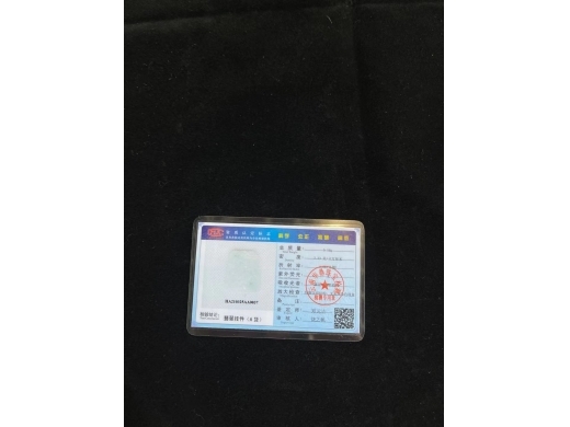 34白冰生肖马牌