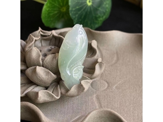 08神仙鱼