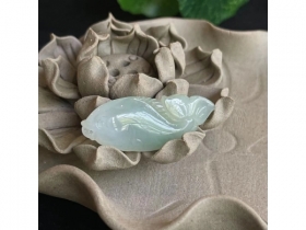 08神仙鱼