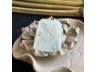 53白冰生肖鼠牌
