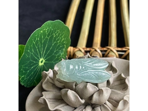 48翡翠蝉