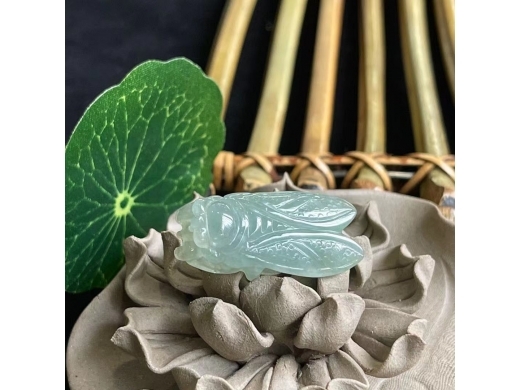 48翡翠蝉