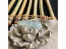 51四季豆