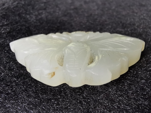 白玉蝴蝶