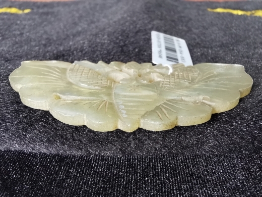 白玉蝴蝶