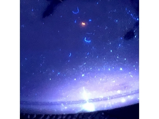 青花富贵白头纹盘