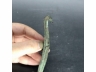 铜龙首带钩