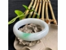 11翠手镯