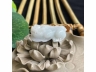12貔貅