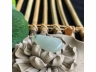 13飘花福瓜