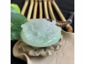 30晴水龙牌