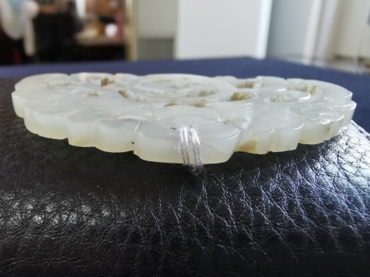 白玉蝠在眼前佩