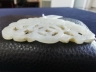 白玉蝠在眼前佩