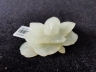 白玉珠花