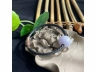 30转运珠手串