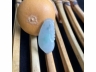 25翠福瓜