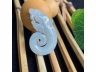 39鱼化龙