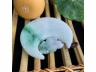 11玉兔望月