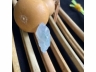 26神仙鱼