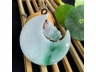 11玉兔望月