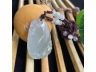 21福寿延年