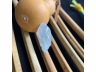 26神仙鱼